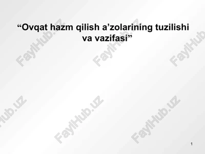 vqat hazm qilish a’zolarining tuzilishi va vazifasi — PPT
