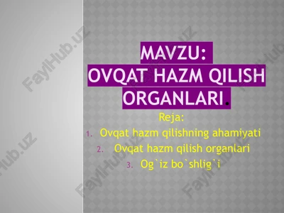 ovqat hazm qilish organlari — PPTX