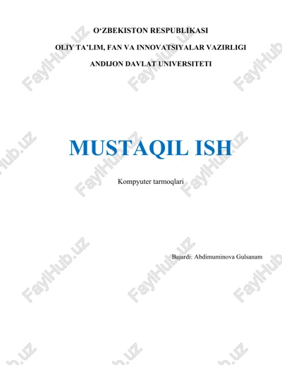 kompyuter tarmoqlari — DOCX