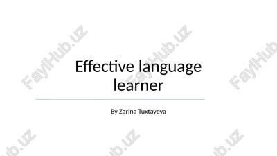 effective language learner — PPTX
