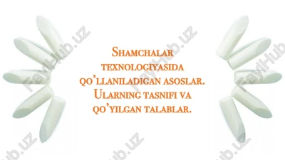 shamchalar texnologiyasi — PPTX