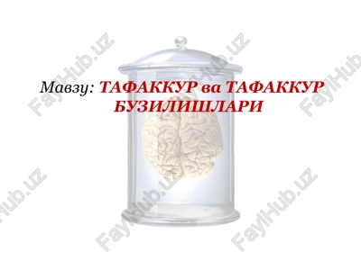 tafakkur va tafakkur buzilishlari — PPTX