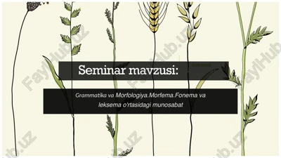 grammatika-morfologiya.morfema.fonema va leksema o'rtasidagi munosabat — PPTX