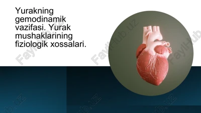 yurakning gemodinamik vazifasi. yurak mushaklarining fiziologik xossalari.​ — PPTX