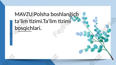 polsha ta’lim tizimi — PPTX