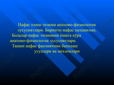 nafas olish tizimi anatomiyasi — PPTX