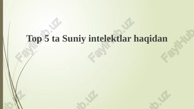 sun'iy intellekt bilan tanishing — PPTX