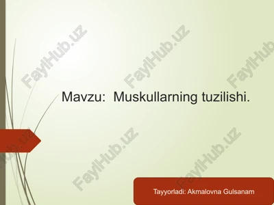 muskullarning tuzilishi — PPTX