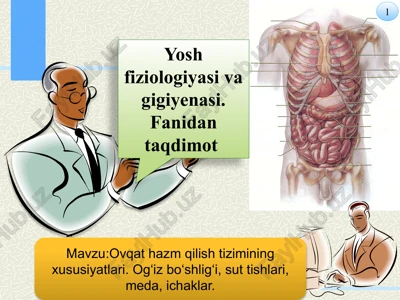 ovqat hazm qilish tizimining xususiyatlari — PPTX