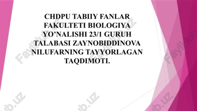 poyalarning xilma xilligi — PPTX
