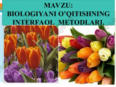biologiyani o’qitishning interfaol metodlari — PPT