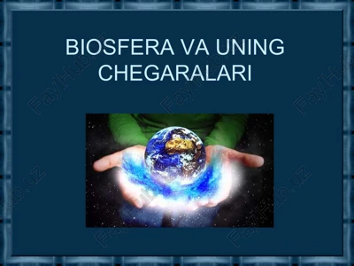 biosfera va uning chegaralari — PPT