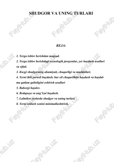 shudgor va uning turatlari — DOC