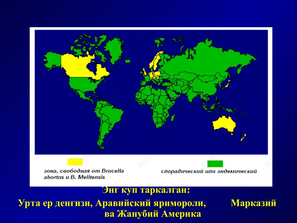 halliy o'zgarishlar ham paydo bo'ladi. patologik jarayon ko'proq ifodalangan va turg'un bo'lib boradi, tayanch-harakat a'zolari maxalliy zararlanishlari artrit, bursit, sakroileit ko'rinishida paydo bo'ladi, ba'zan bo'g'imlar (ayniqsa yirik) shishishi keskin og'riq va faol harakat cheklanishi (ba'zan bemor to'shakda yotib qoladi) bilan kuzatiladi. umurtqa zararlanishi asosan spondiloartrit va spondiloartroz (ko'pincha pastki bo'limida) ko'rinishida kuzatiladi. miozit, fibrozit, mialgiya, tendovaginit, tsellyulitlar rivojlanadi. brutsellyoz brutsellyoz * nerv tizimining ko'proq tipik zararlanishi (asosan periferik) – pleksit, nevrit, radikulit va b. buzilishlar. erkaklarda - orxit, epididimit, orxoepididimit, ayollarda – menstrual tsikl buzilishi, jinsiy a'zolar yallig'lanishli o'zgarishlari, bola tushishi to bepushtlikkacha bo'lishi mumkin. kasallik nimo'tkir shakli yuqori haroratda ko'pincha to'lqinsimon tipda turli a'zo va tizimlar zararlanishi bilan kechadi va bir necha oy (3 oy) davom etishi mumkin. brutsellyoz bu shaklining diagnostikasi kliniko-epidemiologik hususiyatlarini hisobga olib va o'tkir shaklida qo'llanadigan laborator usullar yordamida amalga oshiriladi. brutsellyoz nimo'tkir shaklini revmatizm, revmatoidli artrit, tayanch-harakat va boshqa tizimlar zararlanishi bilan kechayotgan sil, …
