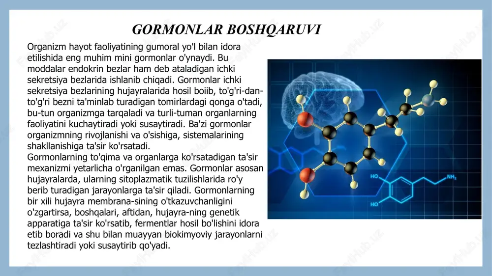 irlar tufayli fiziologik jarayonlarning boshqacha bo'lib qolishi yoki qon va to'qimalardagi u yoki bu xil moddalar miqdorining o'zgarishi organlardagi maxsus nerv oxirlari yoki markaziy nerv sistemasidagi sezuvchi neyronlarning qo'zg'alishiga olib keladi. retseptor apparatlardan afferent signallar gipotalamus neyronlariga va vegetativ nerv sistemasi markazlariga keladi. bulardan efferent nerv ta'sirlari ichki sekretsiya bezlariga borib, gormonlaming ishlanib chiqishiga va qonga o'tishiga idora etuvchi ta'sir ko'rsatadi. gormonlar ham o'z navbatida nerv sistemasining funksional holatini o'zgartirib turadi. yaxlit organizmda regulatsiya nerv va gumoral omillaming o'zaro bir-biriga ma'lum ta'siri tufayli, yagona nerv-gumoral jarayon tariqasida yuzaga chiqadi. ba'zi endokrin bezlar sekretsiyasining darajasi mazkur bez moddalar almashinuvining qaysi turlni idora etadigan bo'lsa, o'sha alma-shinuv mahsulotlarining qondagi miqdoriga bog'liq bo'ladi. regulatsiya idora etilayotgan va idora etadigan jarayonning teskari aloqasi prinsipiga muvofiq yuzaga chiqadi. chunonchi, insulin (uglevodlar almashinuvini idora etuvchi me'da osti bezi gormoni) sekretsiyasi qondagi qand konsentratsiyasiga ko'p darajada bog'liqdir. qondagi qand miqdorining kamayishi insulin sekretsiyasini tormozlab qo'yadi. minerallar almashinuvini …