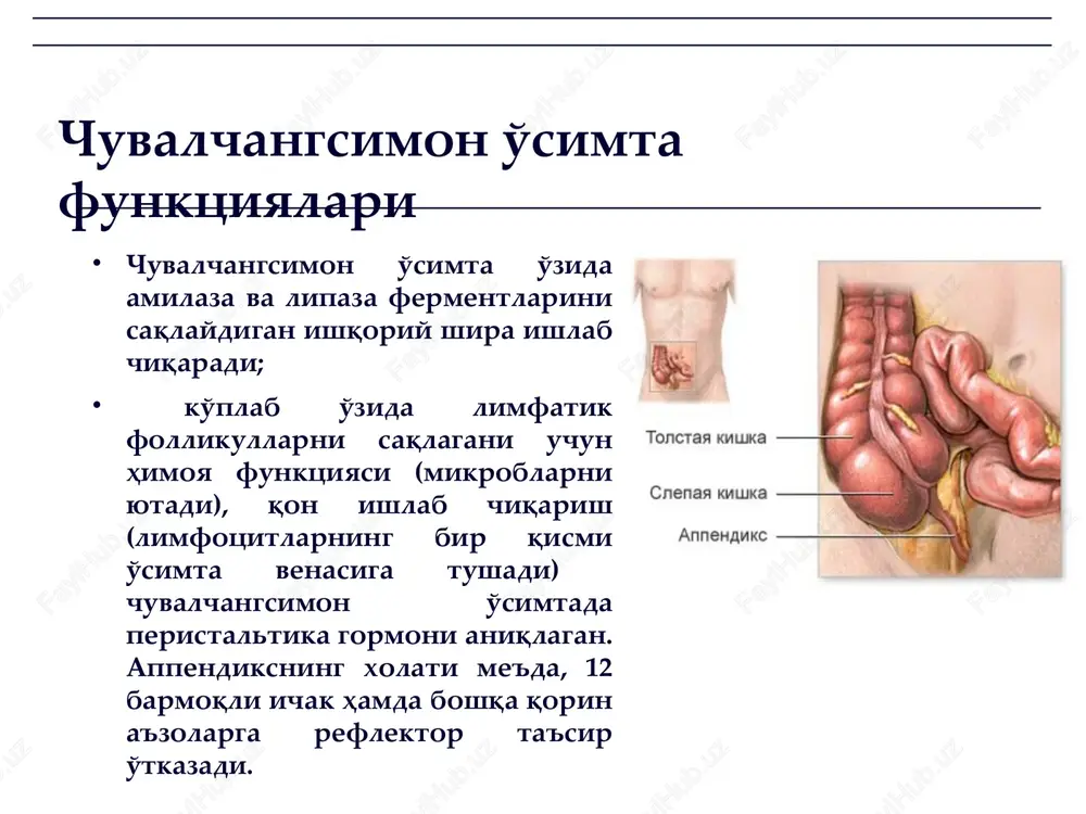 o'tkir appenditsit va uning asoratlari - Page 10