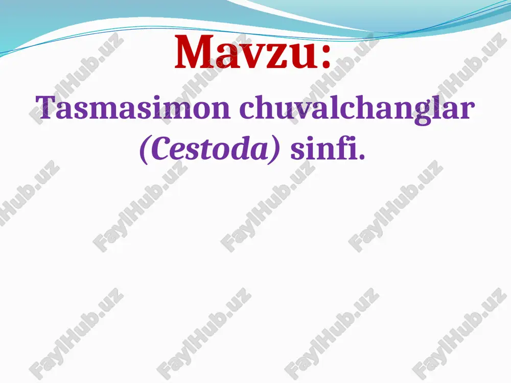 tasmasimon chuvalchanglar (cestoda) sinfi — PPTX