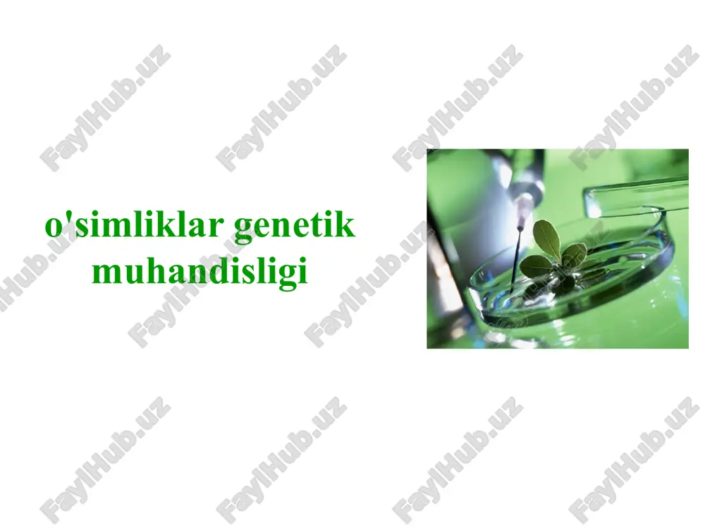 o'simliklar genetik muhandisligi — PPTX