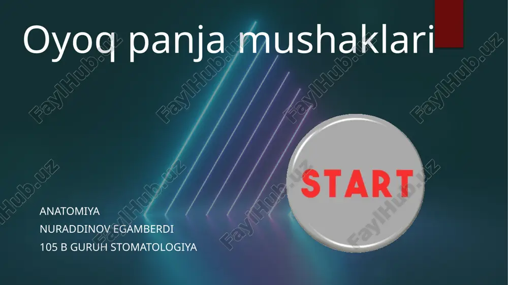 anatomiyadan oyoq panja mushaklari mavzusiga pptx — PPTX