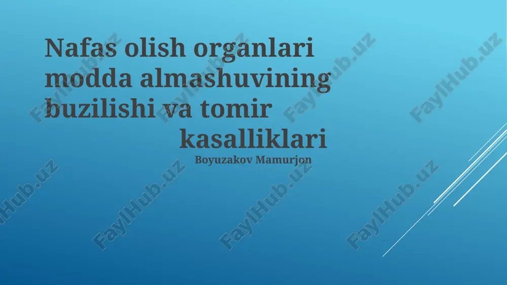 nafas olish organlari — PPTX
