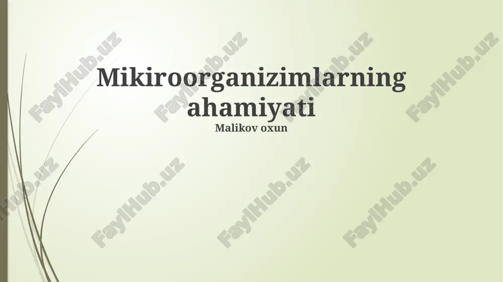 mikroorganizmlarning ahamiyati — PPTX