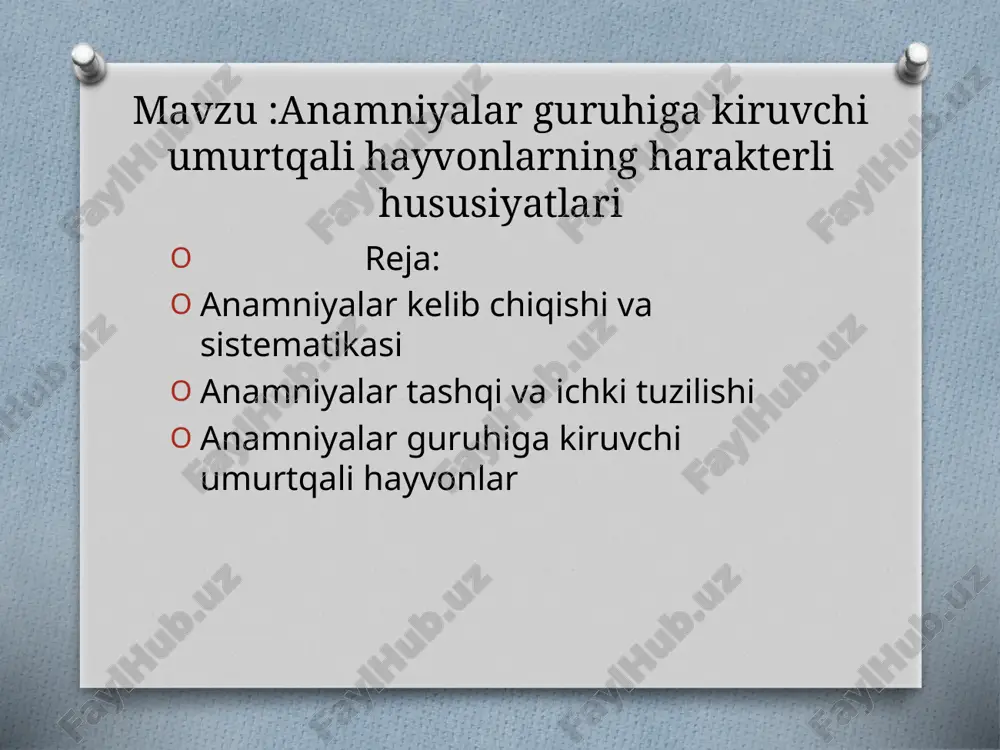 anamniyalar guruhiga kiruvchi umurtqa li hayvonlarning xususiyatlari — PPTX