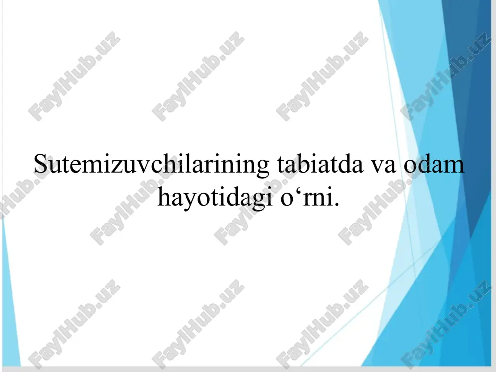 sutemizuvchilarning tabiatda va odam hayotidagi o‘rni — PPTX