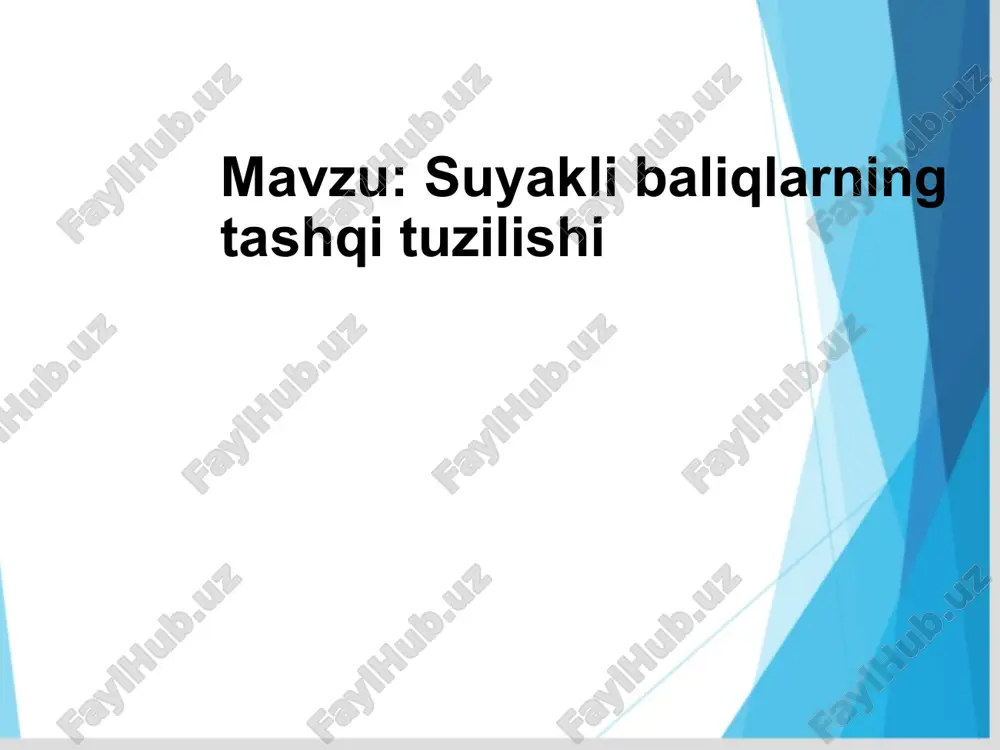 suyakli baliqlarning tashqi tuzilishi — PPTX