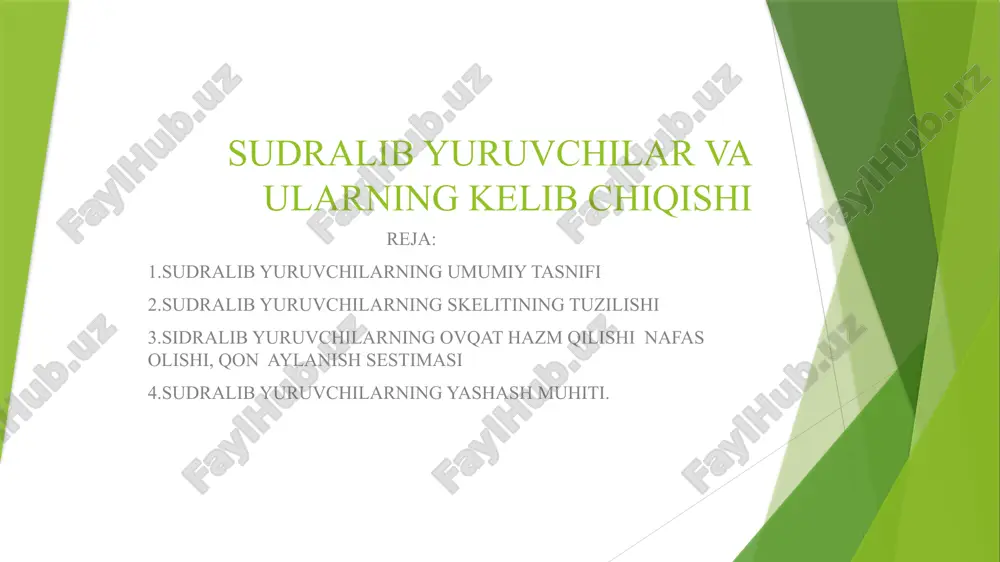 sudralib yuruvchilar va ularning kelib chiqishi — PPTX