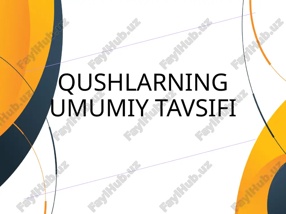 qushlar — PPTX