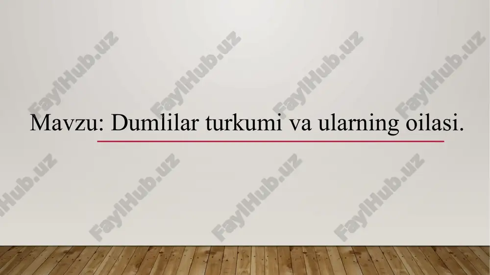 dumlilar turkumi va ularning oilasi — PPTX