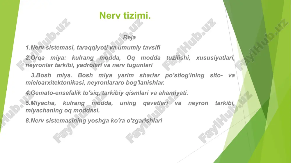 nerv tizimi — PPT