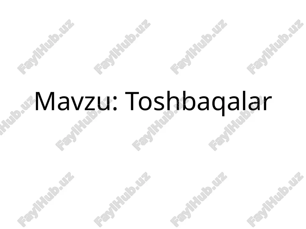 toshbaqalar — PPTX