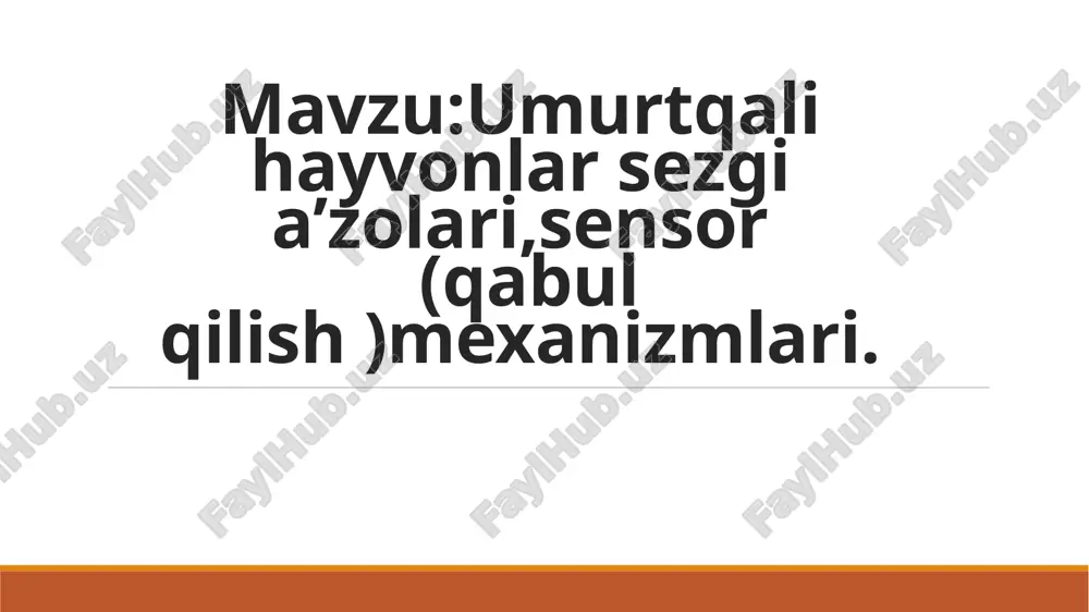 baliqlarning sezgi organlari — PPTX