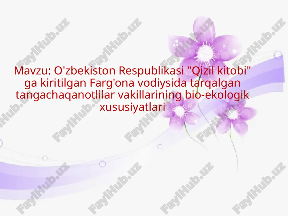 tangachaqanotlilar — PPTX