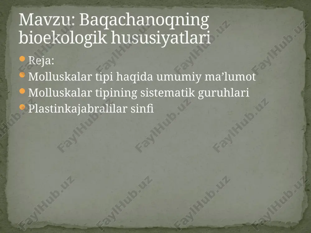 molluskalar tipi haqida umumiy maʼlumot — PPTX