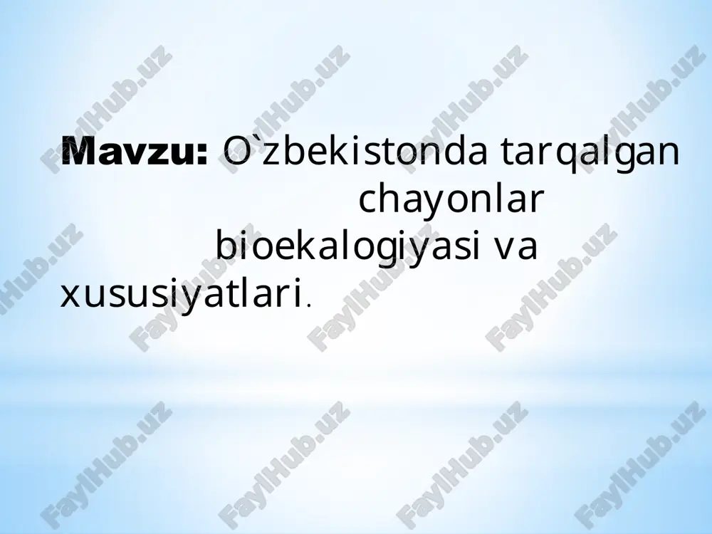o`zbekistonda tarqalgan chayonlar — PPTX