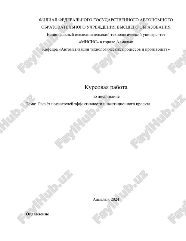 kurs ishi - raschyot pokazateley effektivnosti investitsionnogo proekta — DOCX