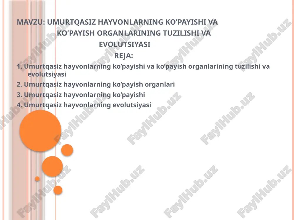 gidrozoylar (hydrozoa) sinfi — PPTX