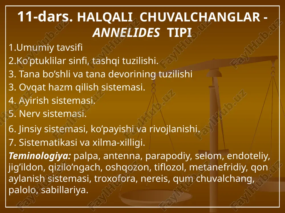 halqali chuvalchanglar - annelides tipi — PPTX