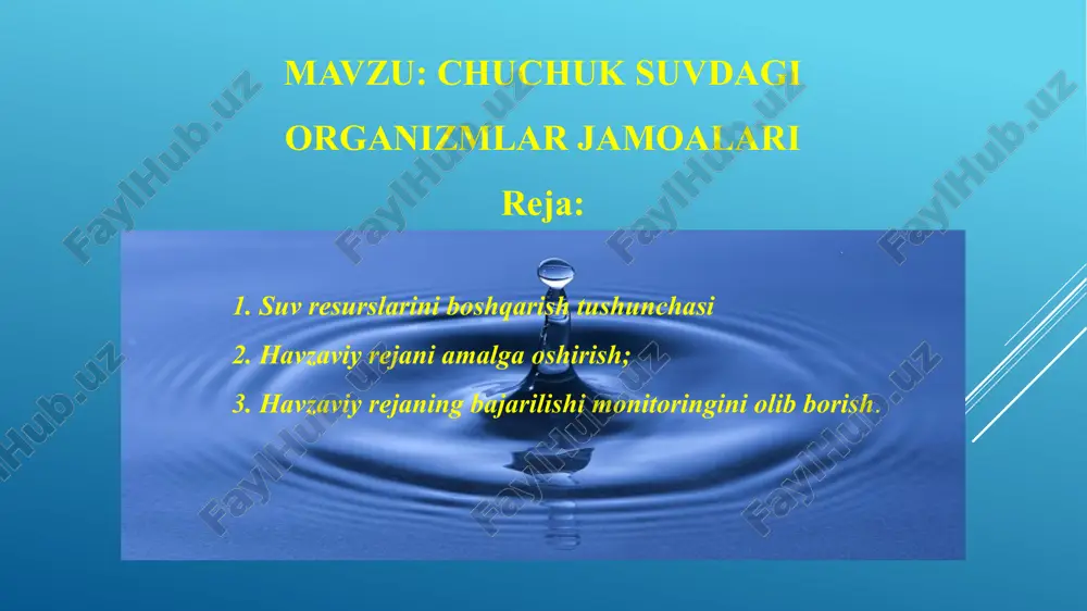 chuchuk suvdagi organizmlar jamoalari — PPTX