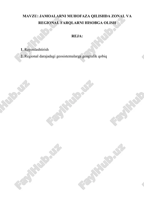 rayonlashtirish — DOCX