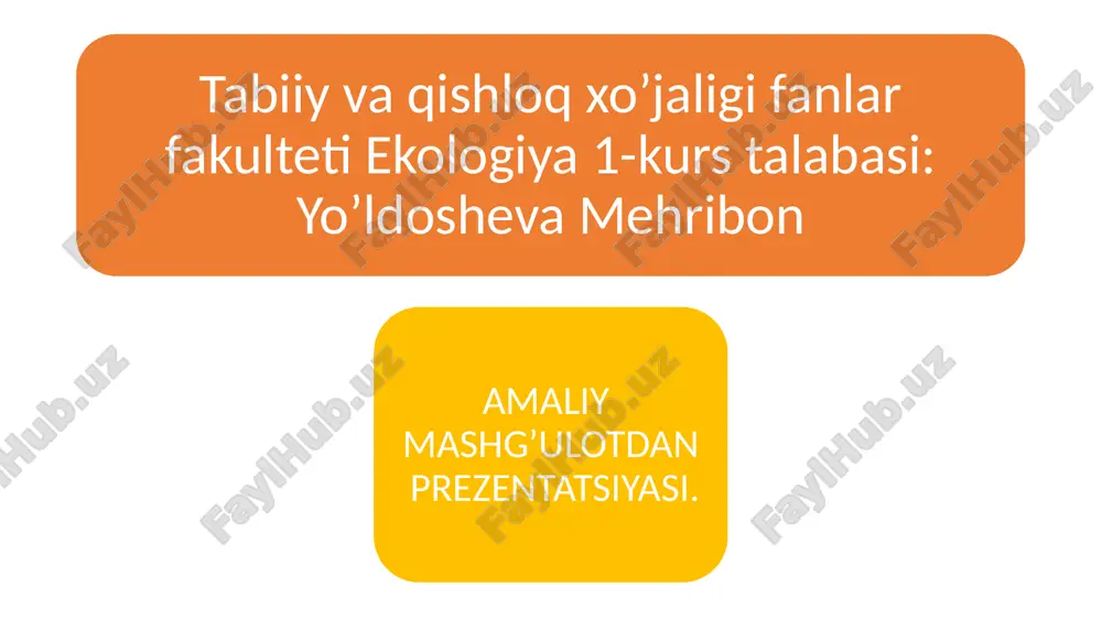 biologiya amaliy mashg'ulot mavzusiga slayd — PPTX