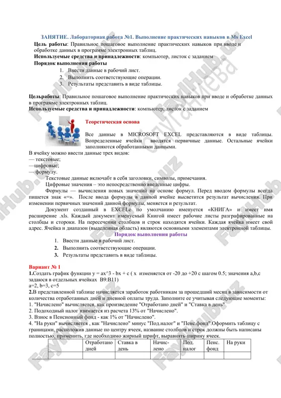vipolnenie prakticheskix navikov v ms excel — DOC