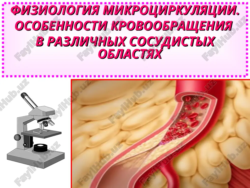 fiziologiya mikrotsirkulyatsii — PPT