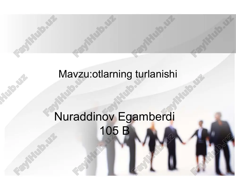 lotin tilidan ot grammatik kategoriyalar pptx — PPTX