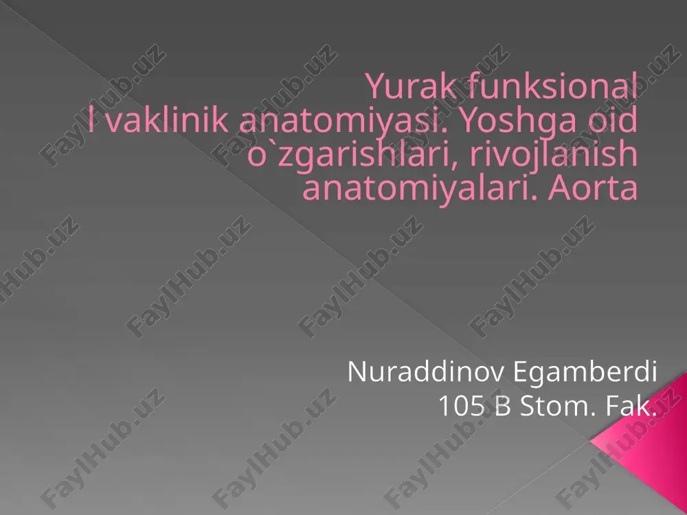 yurak anatomiyasi pptx — PPTX