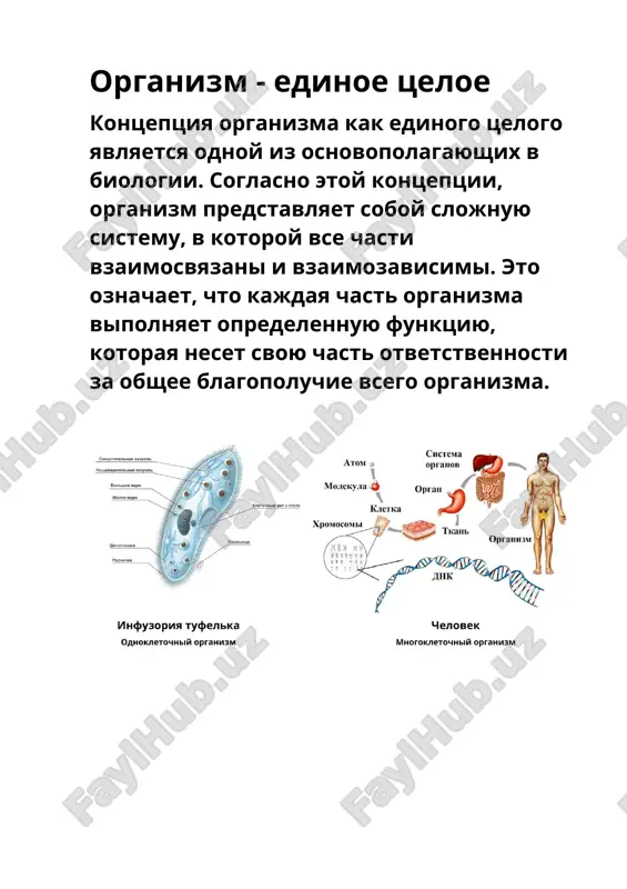 organizm - edinoe tseloe — DOC