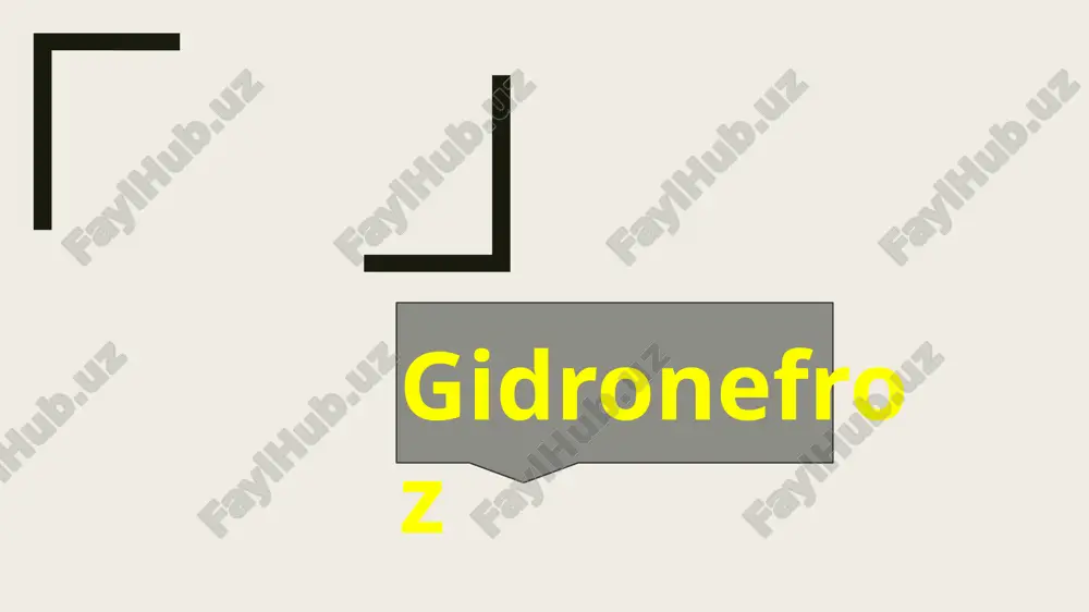 gidronefroz — PPTX