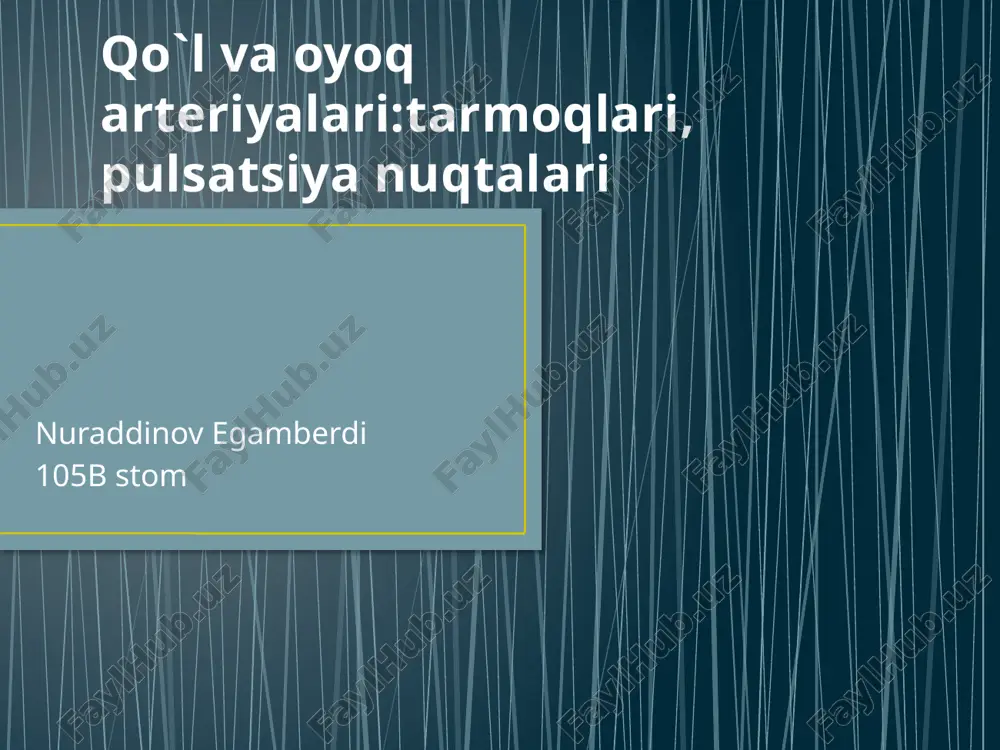 qõl va oyoq aryeriyalari anatomiyasi pptx — PPTX